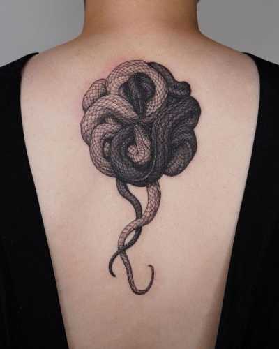 20 Masterful Snake Tattoos Drawing Concepts