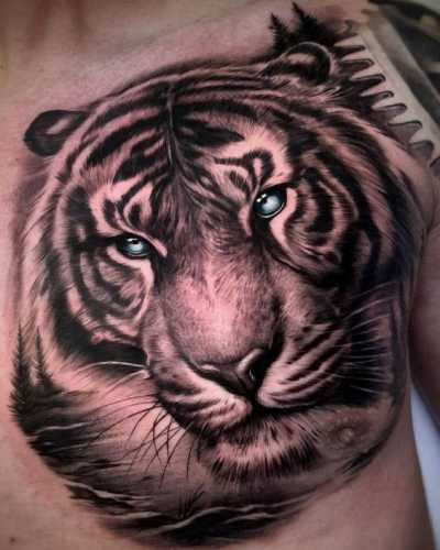 19 Tiger Head Tattoo Ideas
