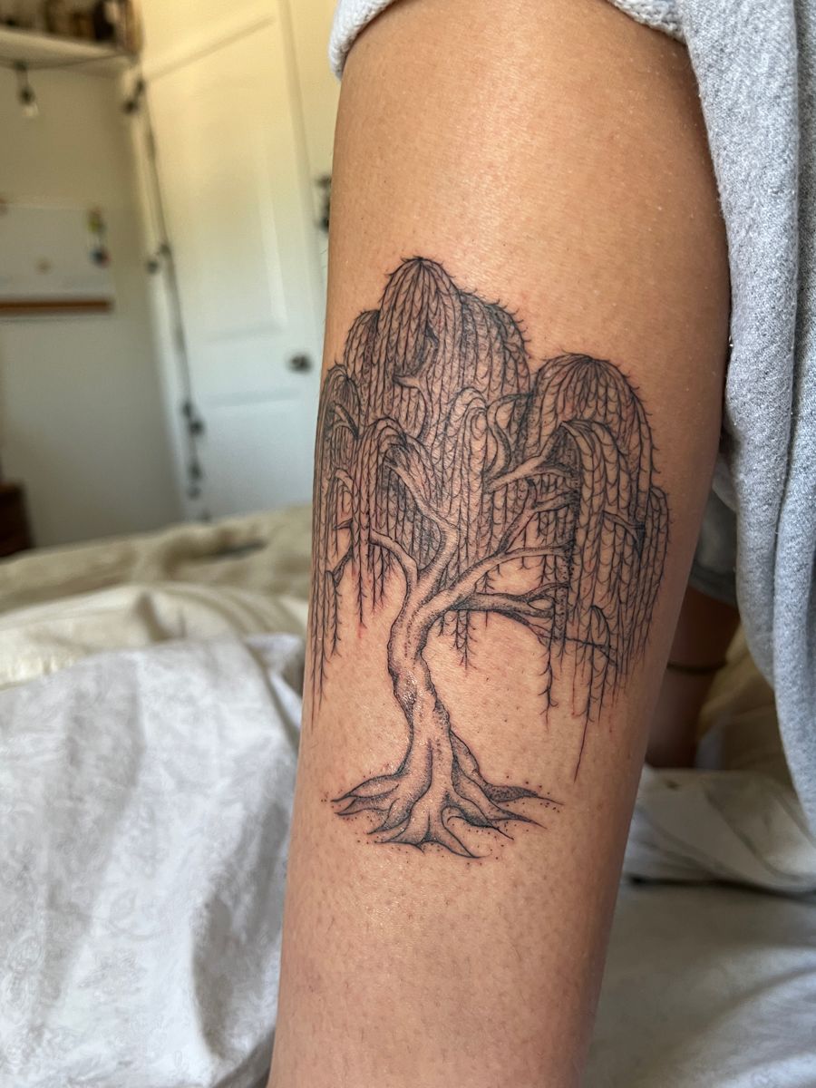 28 Willow Tree Tattoo Ideas: Graceful Designs Filled with Emotion, Meaning, and Quiet Strength