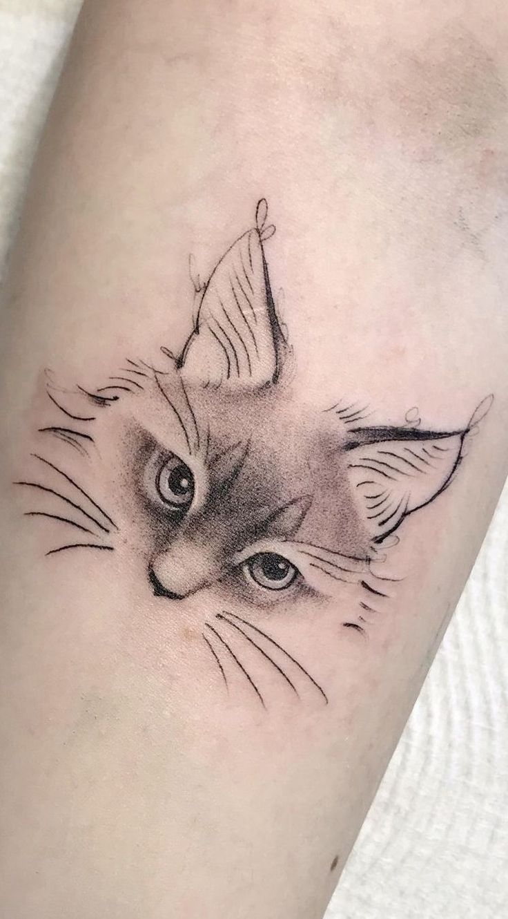 Here Are 28 Cat Tattoo Ideas to Consider in for Women and Men: Minimalist, Funny, Gothic