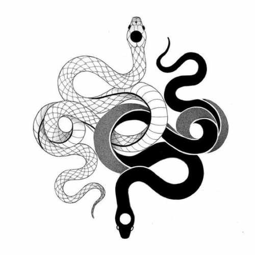 15 Captivating Snake Tattoo Sketch Ideas