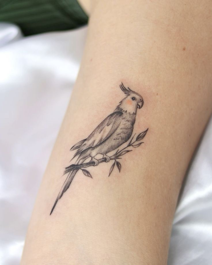 26 Bird Tattoo Ideas With Meaningful Designs For Men And Women