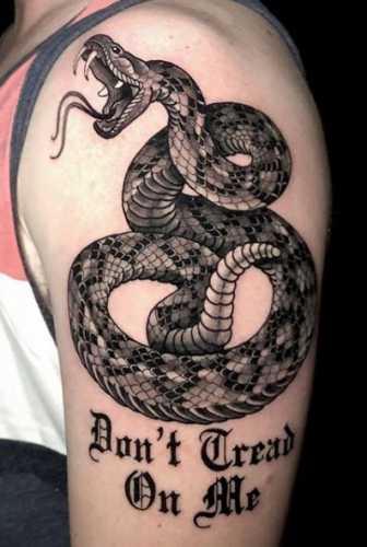 20 Snake Tattoos on Arm for a Bold Statement