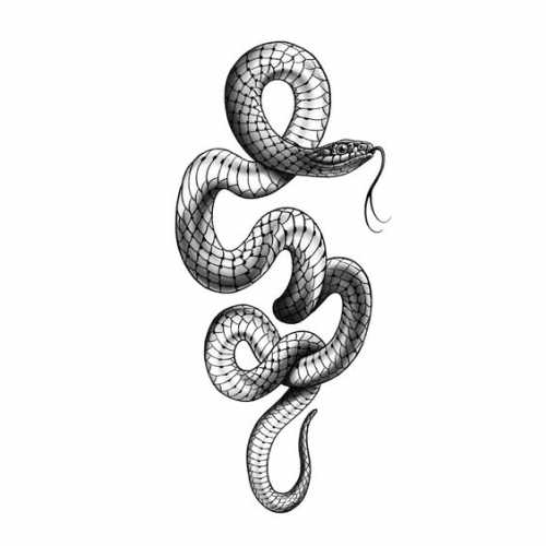 15 Captivating Snake Tattoo Sketch Ideas