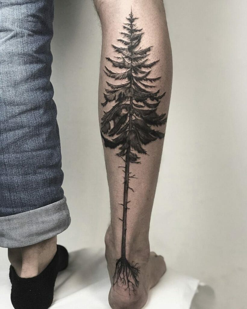 30 Pine Tree Tattoo Ideas: Quiet Symbols of Resilience, Place, and Peace