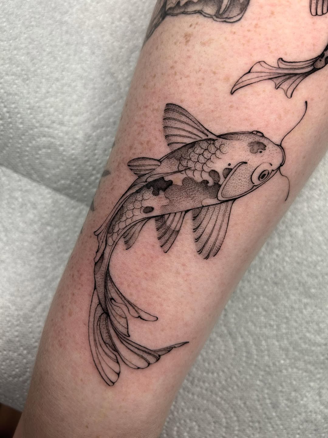27 Fish Tattoo Designs With Meaning Koi, Minimalist, and Traditional Styles