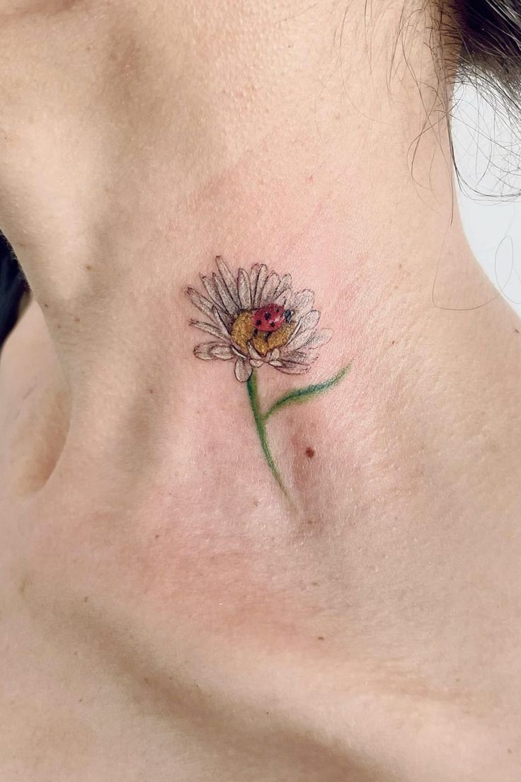 25 Daisy Tattoo Ideas with Fine Line, Watercolor, Minimalist, Stencil, Traditional & Dainty Designs