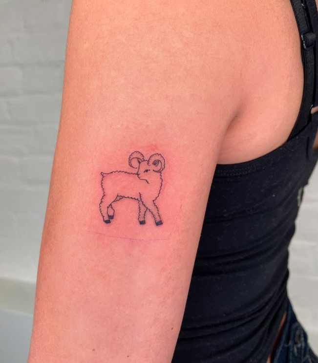 25 Aries Tattoo Ideas for Men & Women Unique Minimalist Designs, Zodiac Symbols