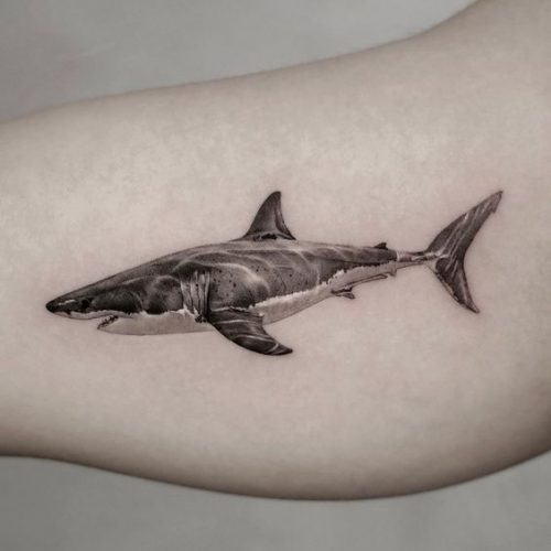 Explore 18 Stunning Shark Tattoo Designs for : From Elegant Minimalism to Vibrant Watercolors