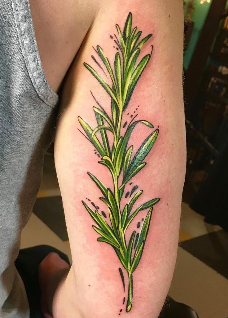 26 Olive Branch Tattoo Ideas : Fine Line, Arm Wrap, Minimal, American Traditional Designs