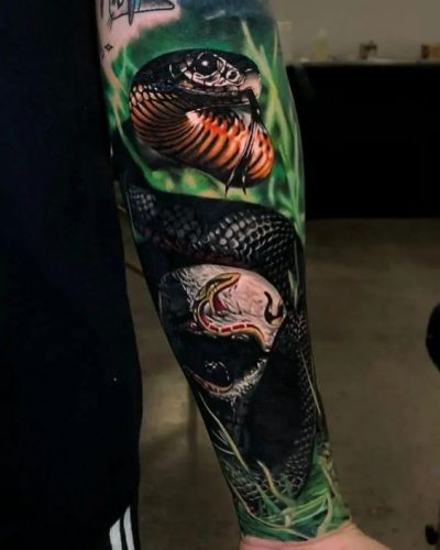 17 Awe-Inspiring Viper Snake Tattoo Concepts