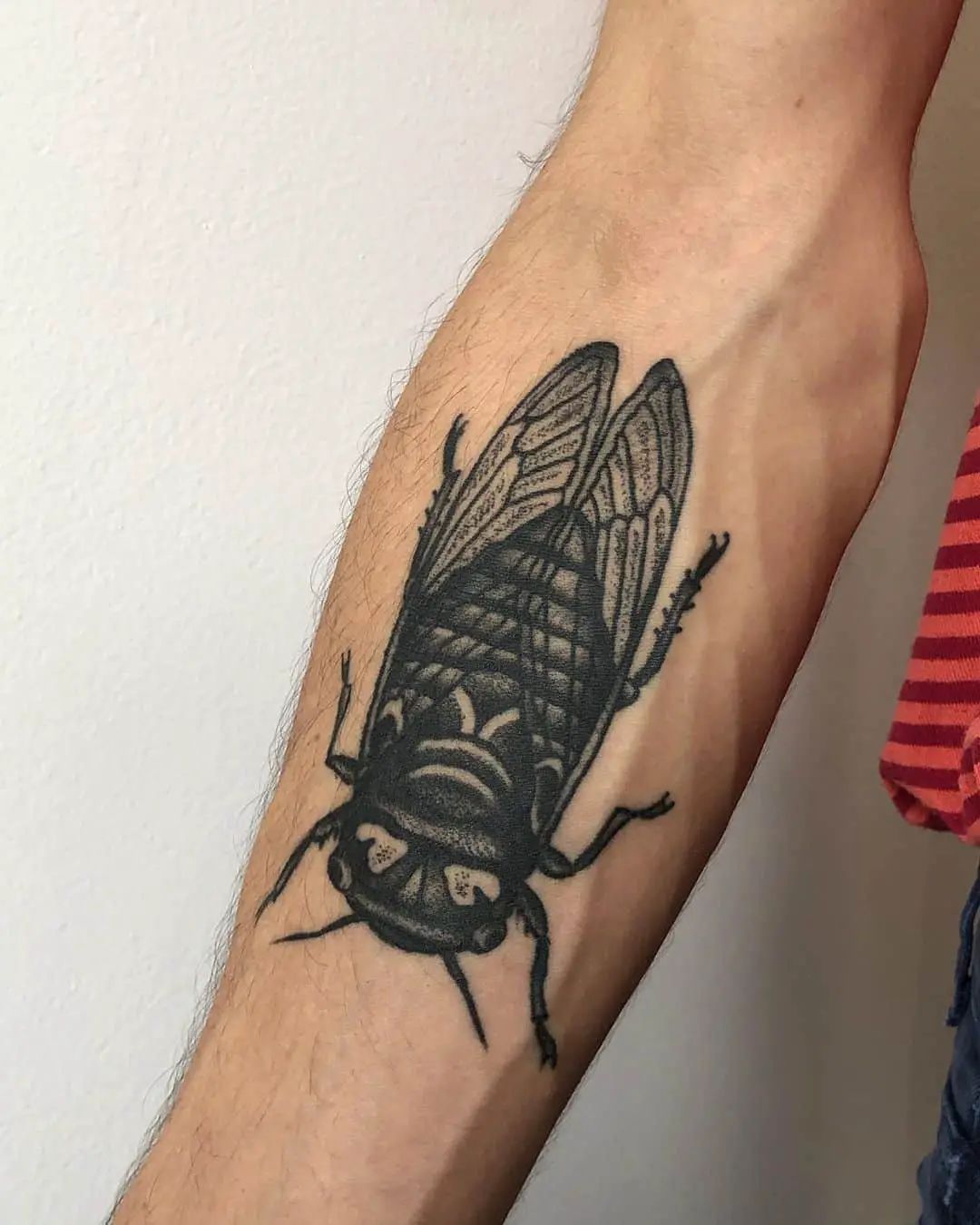 29 Cicada Tattoo Ideas: From Simple Linework to Lush Color