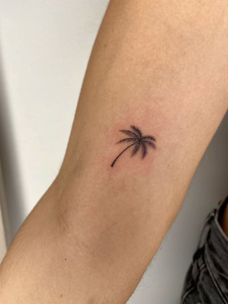 25 Palm Tree Tattoo Ideas for Women and Men Minimalist, Traditional, Forearm & Tropical Design Inspiration