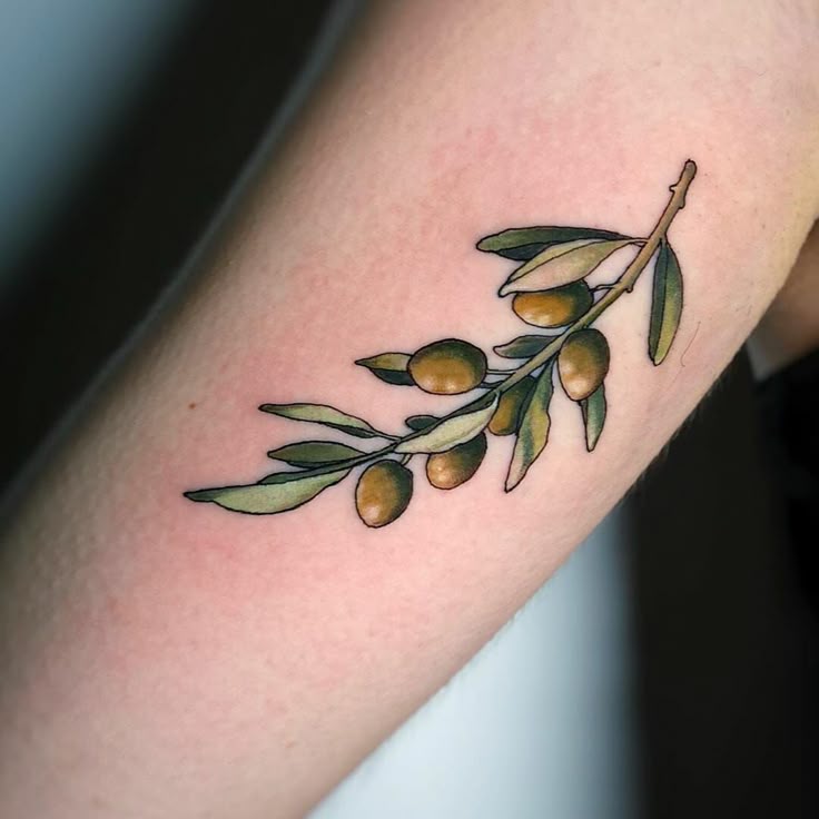 26 Olive Branch Tattoo Ideas : Fine Line, Arm Wrap, Minimal, American Traditional Designs