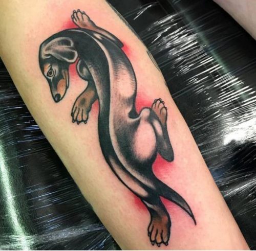 Explore 24 Unique Dachshund Tattoos – Perfect Blend of Style & Sentiment for