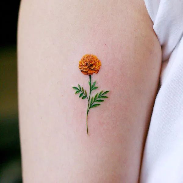 26 Marigold Tattoo Ideas for Every Style Fineline, Realistic, Black and White, Traditional, and Color Designs