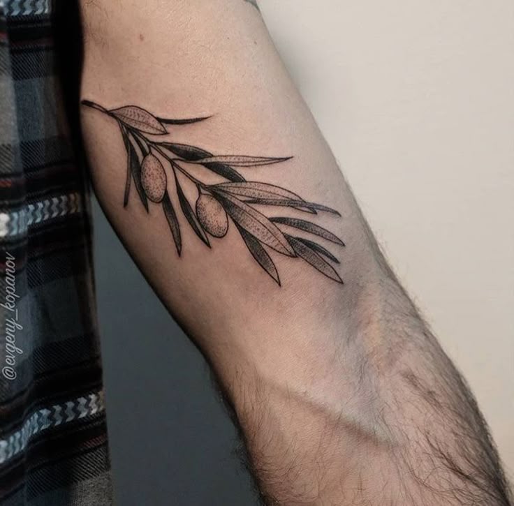 26 Olive Branch Tattoo Ideas : Fine Line, Arm Wrap, Minimal, American Traditional Designs