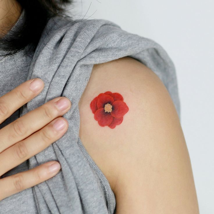 28 Poppy Tattoo Ideas for Women & Men Fine Line, Traditional, Minimalist & Bold Red Floral Designs
