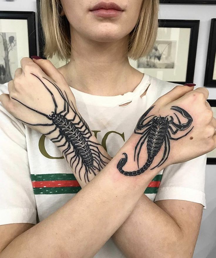 27 Scorpion Tattoo Ideas for : Bold Designs, Feminine Scorpio Styles, and Powerful Ink