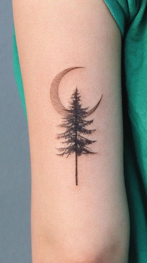 30 Pine Tree Tattoo Ideas: Quiet Symbols of Resilience, Place, and Peace