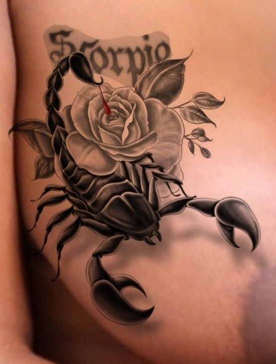 29 Scorpio Tattoo Ideas : Unique Designs with Traditional Styles and Feminine Aesthetic