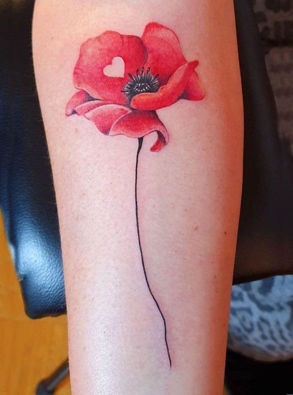 28 Poppy Tattoo Ideas for Women & Men Fine Line, Traditional, Minimalist & Bold Red Floral Designs