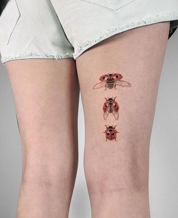 29 Ladybug Tattoo Ideas with Stencil Designs, Fine Line, Traditional Style, Gothic, Floral