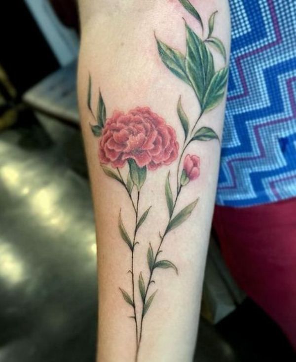 25 Carnation Tattoo Ideas : Traditional Designs for Women, Shoulder, Sleeve, Ankle & More