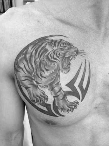 27 Chest Tiger Tattoo Ideas