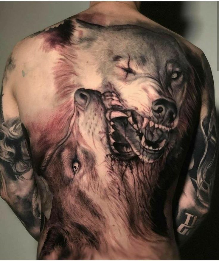 Explore 24 Stunning Realistic Wolf Tattoos for : Top Design Ideas for Forearm, Shoulder, Chest, and More