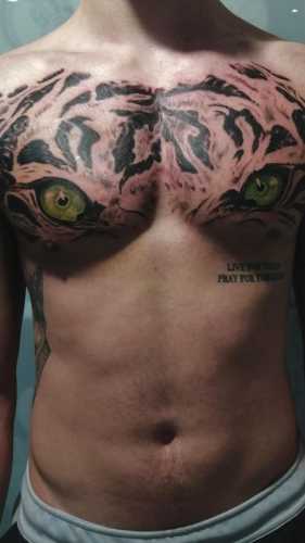 27 Chest Tiger Tattoo Ideas
