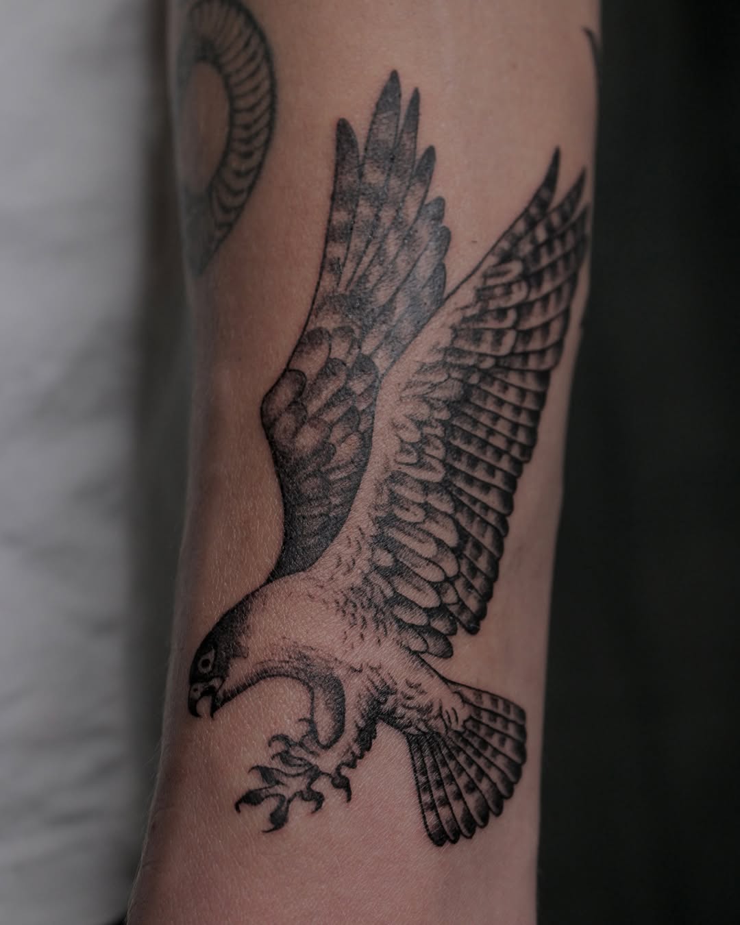 29 Hawk Tattoo Ideas: Bold Designs That Capture Power and Freedom