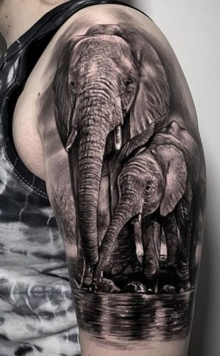 20 Elephant Shoulder Tattoos Ideas