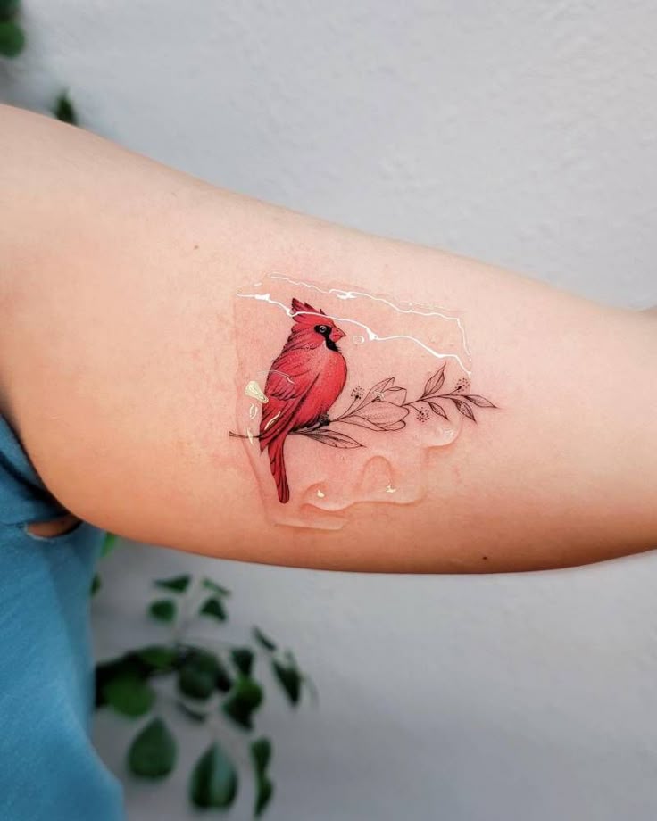 28 Cardinal Tattoo Ideas for Women and Men: Memorial, Fine Line, Stencil Outline, Small Flying