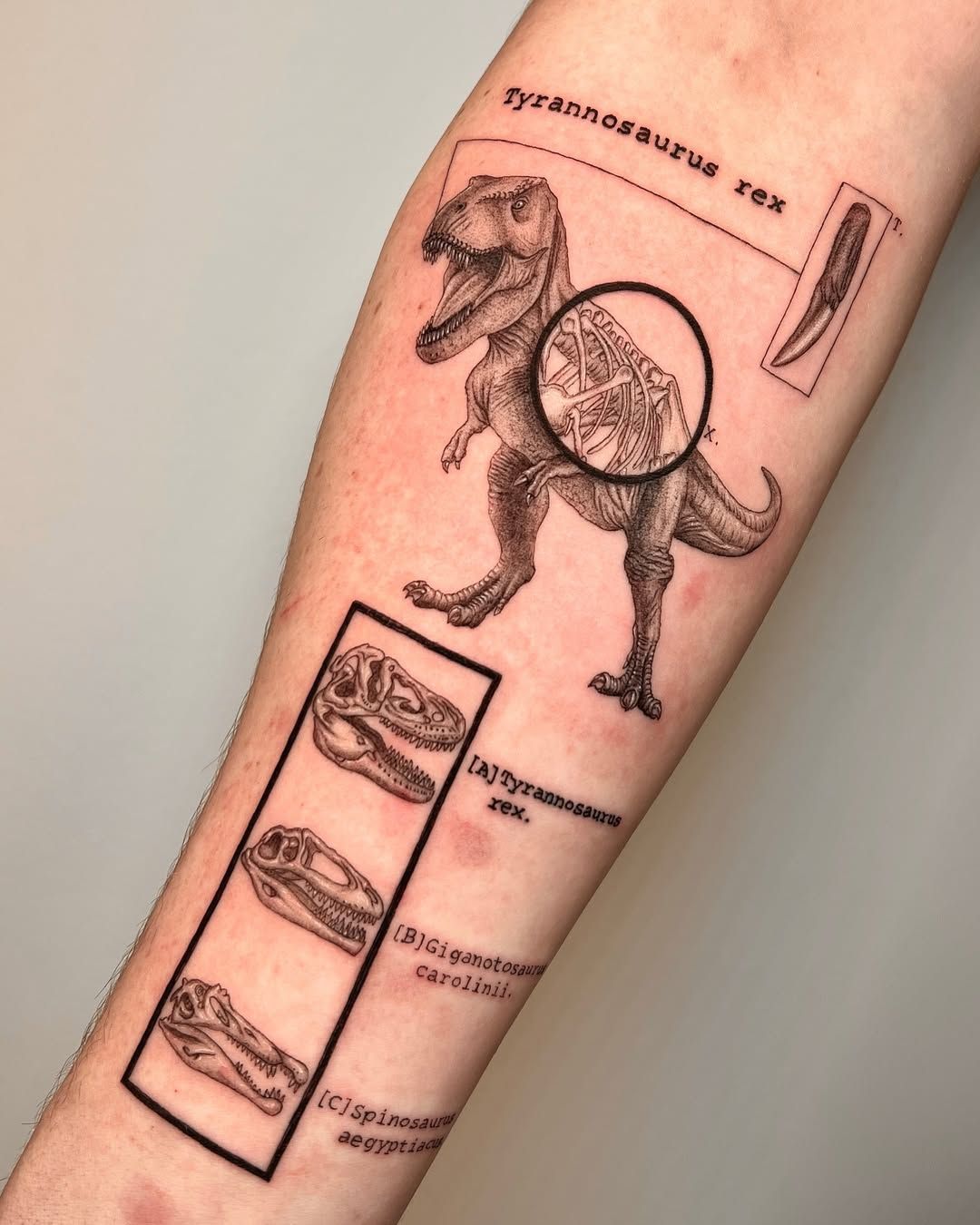 29 Dinosaur Tattoo Ideas Cute, Sleeve, Realistic, Fine Line, Flash, Neo Traditional, And More