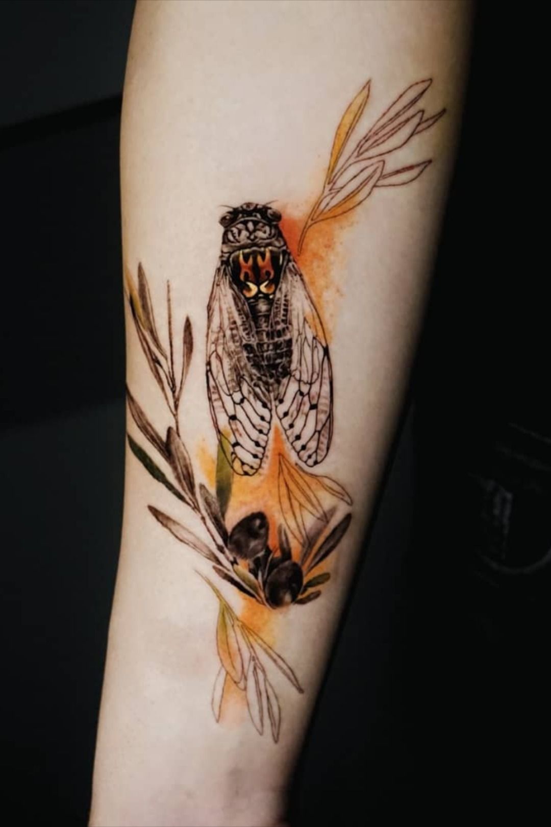 29 Cicada Tattoo Ideas: From Simple Linework to Lush Color