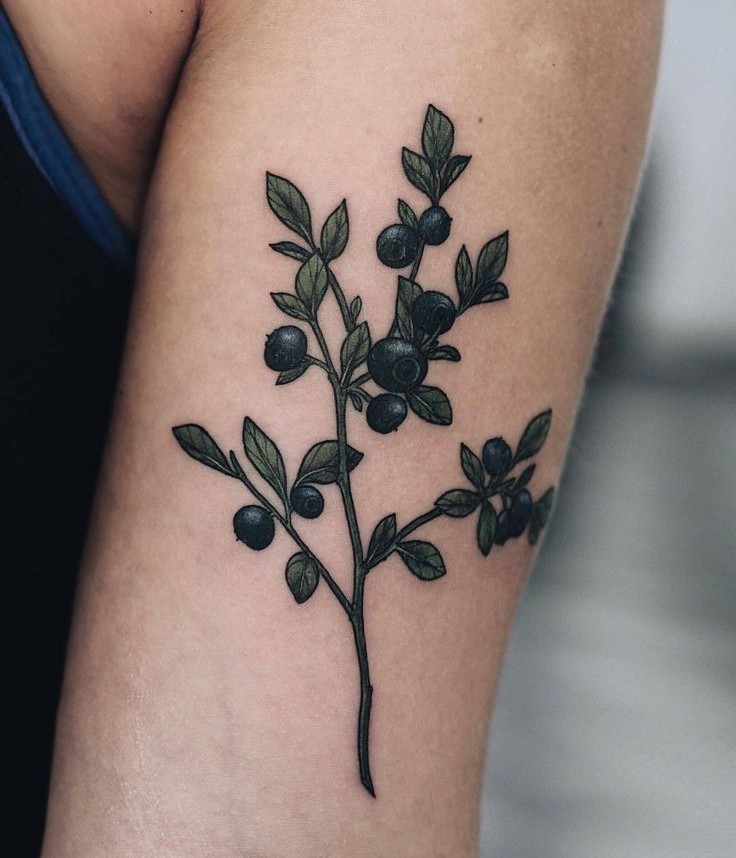 26 Olive Branch Tattoo Ideas : Fine Line, Arm Wrap, Minimal, American Traditional Designs