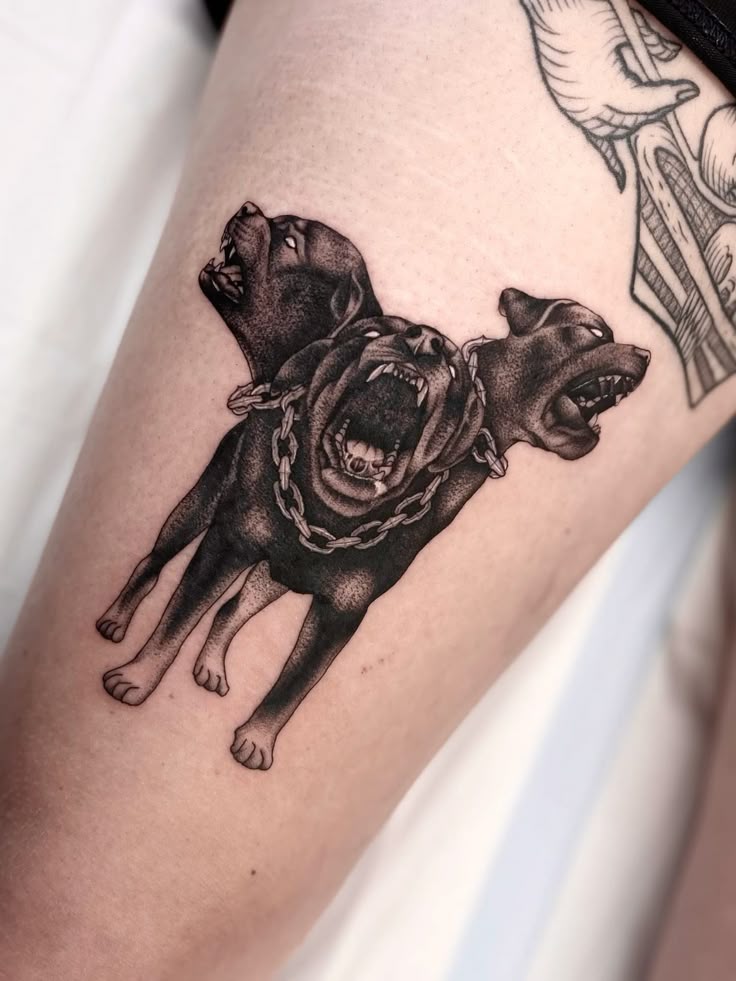 27 Cerberus Tattoo Ideas with Greek Mythology Designs for Chest, Shoulder, and Cute Styles