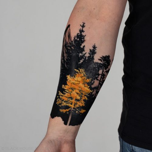 Explore 20 Unique Tree Tattoo Designs for : Symbolism & Artistry in Nature-Inspired Tattoos