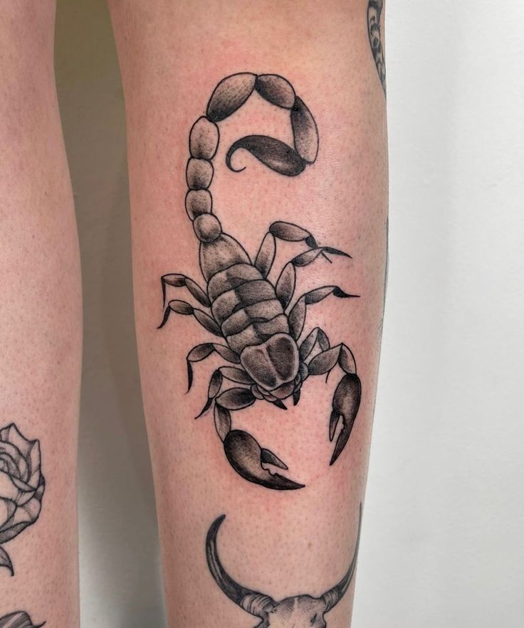 27 Scorpion Tattoo Ideas for : Bold Designs, Feminine Scorpio Styles, and Powerful Ink