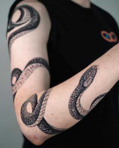 20 Snake Tattoos on Arm for a Bold Statement