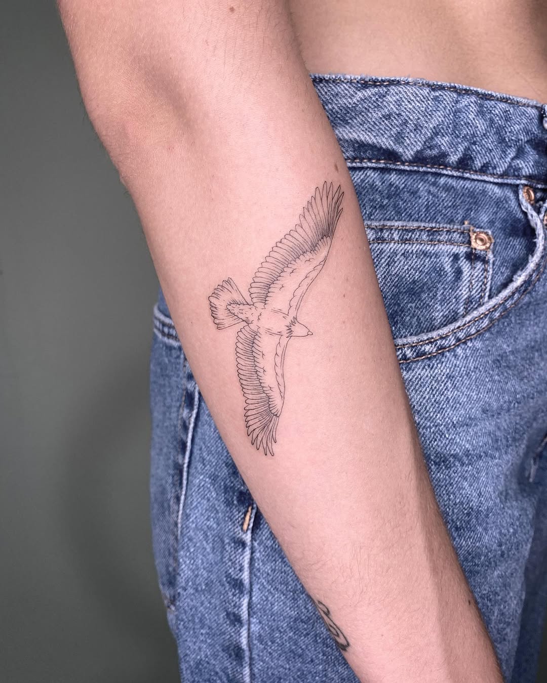 29 Hawk Tattoo Ideas: Bold Designs That Capture Power and Freedom