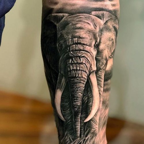 21 Elephant Tattoos on Forearm Ideas