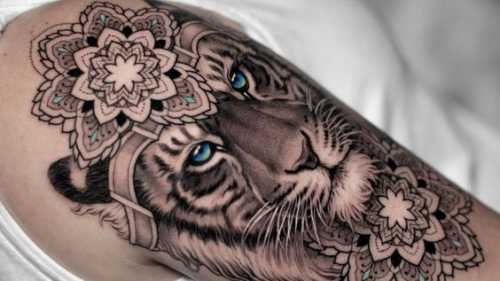 23 Girl’s Tiger Tattoo Ideas