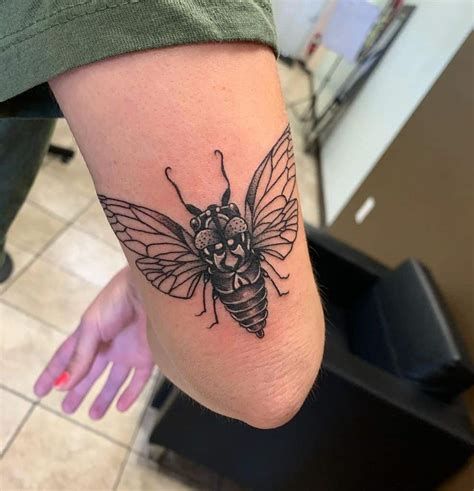 29 Cicada Tattoo Ideas: From Simple Linework to Lush Color