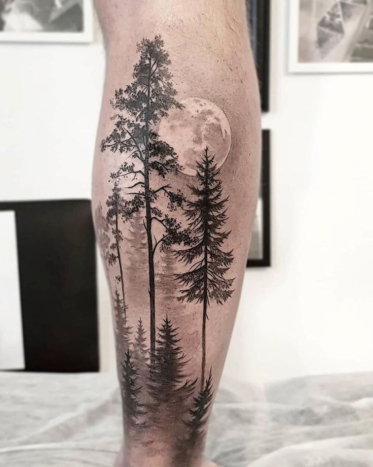 30 Pine Tree Tattoo Ideas: Quiet Symbols of Resilience, Place, and Peace