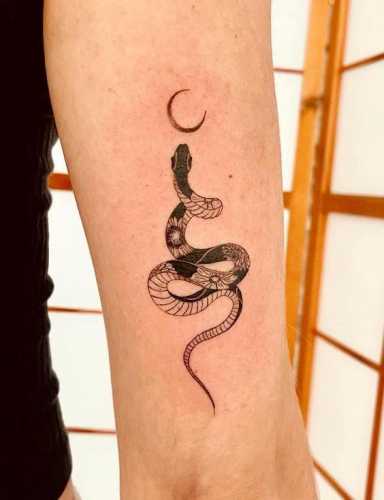 17 Explore Snake Tattoo Traditional Designs