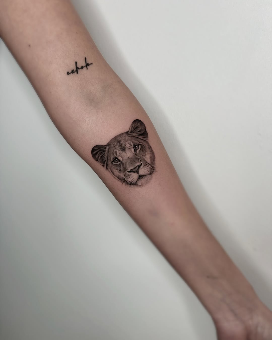 30 Lioness Tattoo Ideas: Strength, Softness, and Storytelling in One Symbol