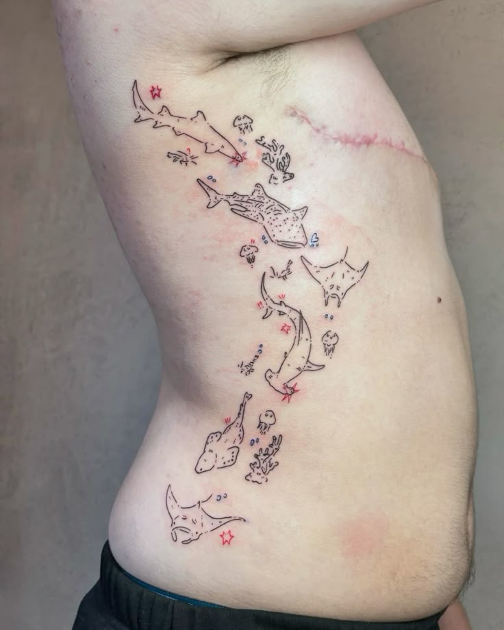 27 Shark Tattoo Ideas for Men & Women: Cute, Minimal, Traditional, Japanese Styles