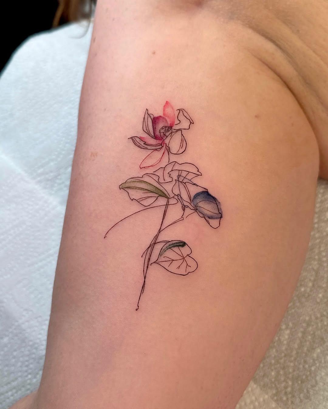 30 Creative Water Lily Tattoos for : Tattoos with Special Meanings